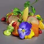 Vista Allegra 4*