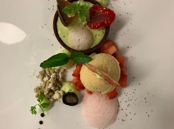 酒店 阿莱格拉维斯塔酒店