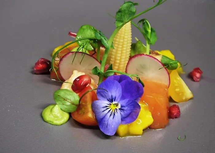 阿莱格拉维斯塔酒店 4*