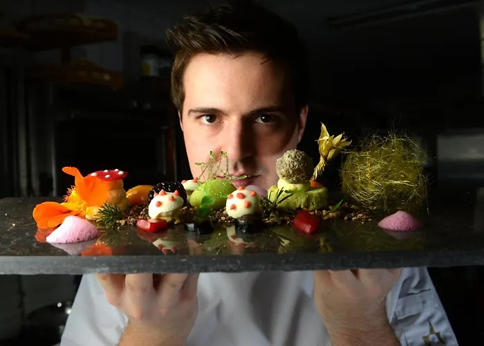 阿莱格拉维斯塔酒店 酒店 4*