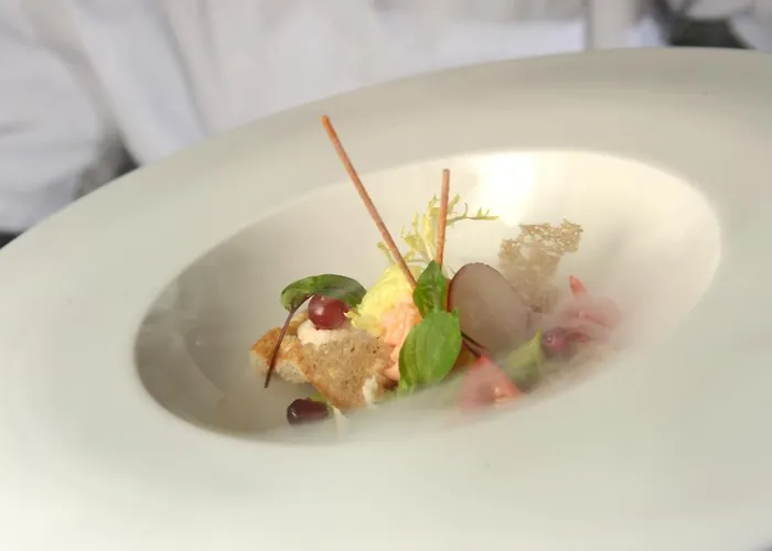 酒店 阿莱格拉维斯塔酒店 4*