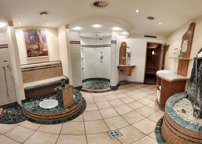 阿莱格拉维斯塔酒店 4* 伊施格尔