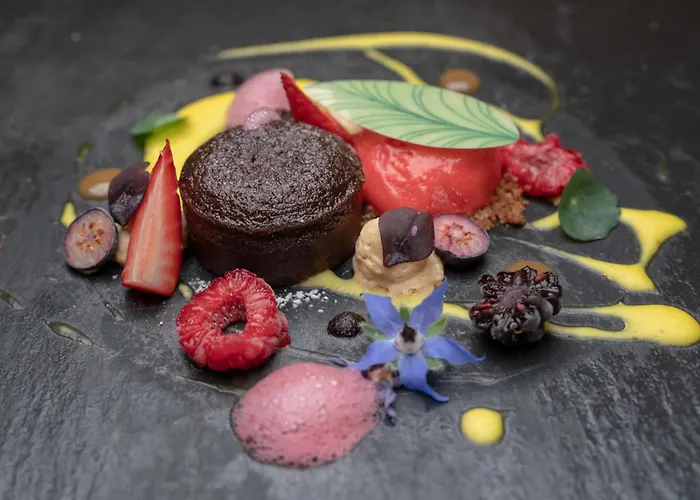 酒店 阿莱格拉维斯塔酒店 4*