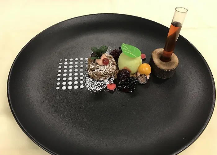 阿莱格拉维斯塔酒店 酒店 4*