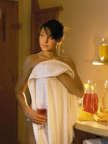 酒店 阿莱格拉维斯塔酒店 伊施格尔