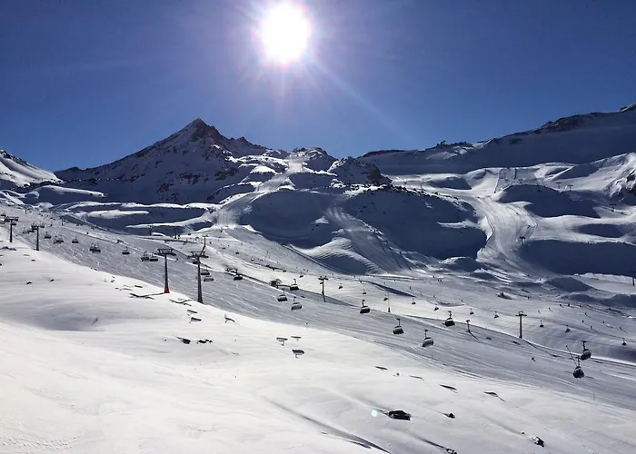 阿莱格拉维斯塔酒店 酒店 4*