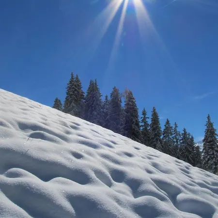 Vista Allegra Hotel 4*